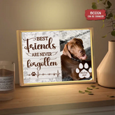 Boîte lumineuse personnalisée avec cadre photo – Cadeau pour les amoureux des chiens, les bons amis ne sont jamais oubliés